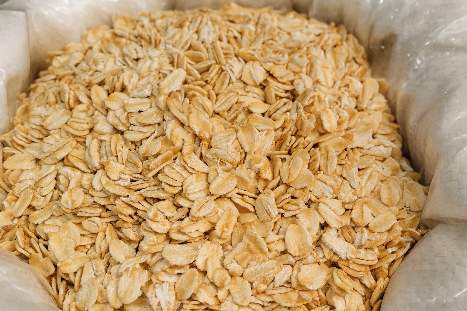 Avena Integral – 1/2 kg