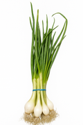 Cebollín 3 unidades