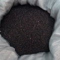 Quinoa Negra – 1/4 kg