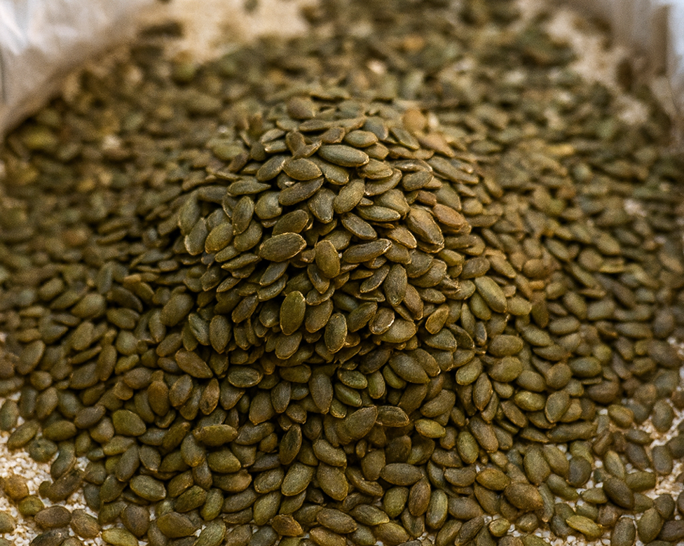 Semilla de Zapallo – 1/8 kg